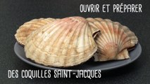 Comment ouvrir et préparer de succulentes coquilles Saint-Jacques ? - Gourmand