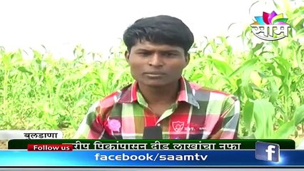 Kaduji Chavan's zero budget natural farming success story