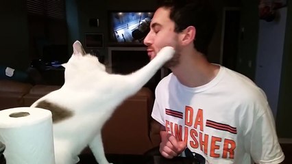 Sahibini Tokatlayan Kedi :)