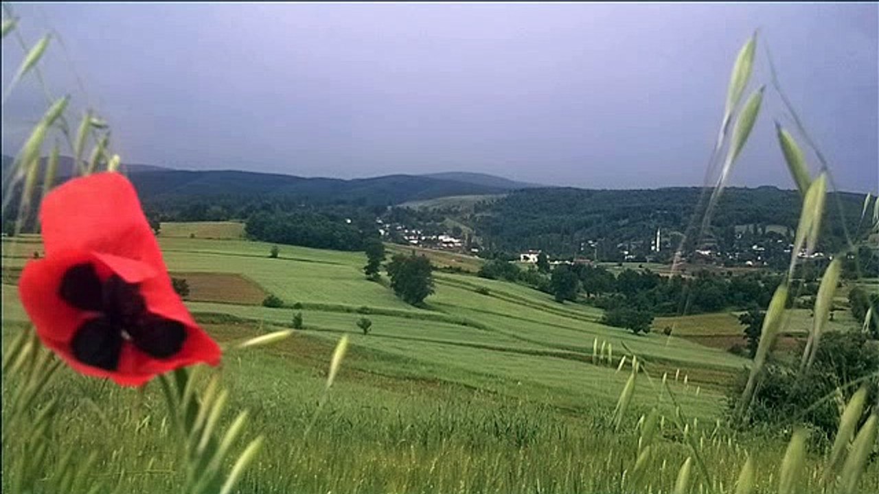 endikpınar.