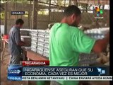 Cámara de Comercio de Nicaragua asegura que hay estabilidad económica