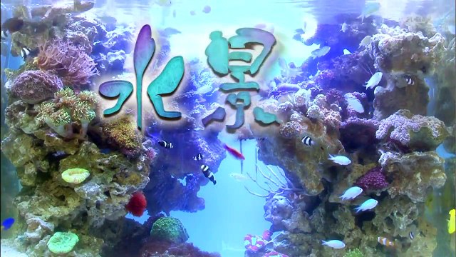 水景日和 20150116