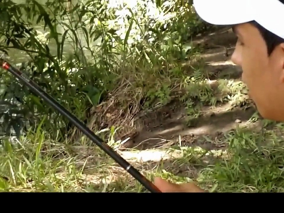 pesca de cocodrilo!!