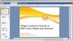 XPage Custom Controls for IBM Lotus Notes and Domino