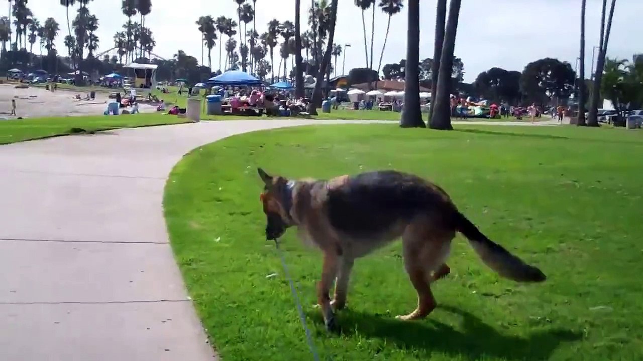 Beach Dance