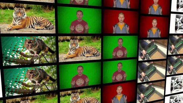 Как выбрать туалет для кошки