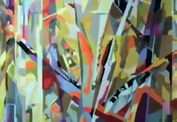 S S  France 1971   Promotional Film