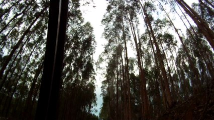 Mtb, Trilhas de Mountain bike, Taubaté, SP, Brasil, Vale do Paraíba, Ciclo turismo, 33 amigos na rota dos eucaliptos, (30)