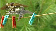 5 per mille LIPU - Dichiarazione d'Amore alla Natura