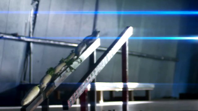 Japanese Sushi Chef Skateboarding