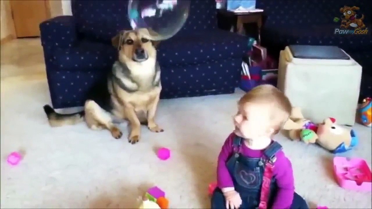 Der Hund schnappt blitzschnell zu. Doch die Reaktion des Babys? Unbezahlbar!