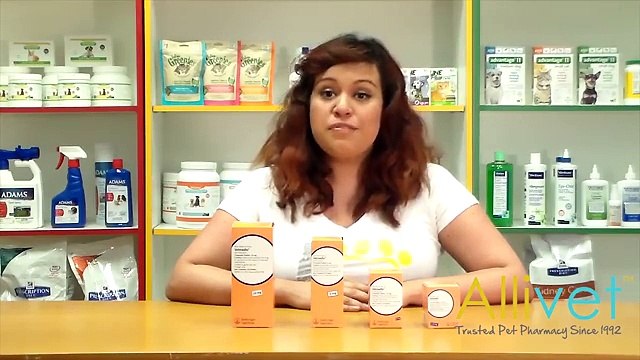 Video for Vetmedin Chewable Tablets For Dogs