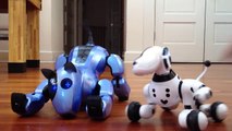 Zoomer and Genibo SD Robot Dogs