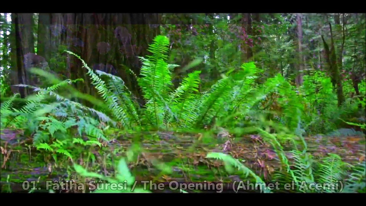 01- Fâtiha Sûresi / The Opening  (Ahmet el Acemi) HD