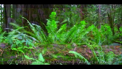 01- Fâtiha Sûresi / The Opening  (Ahmet el Acemi) HD