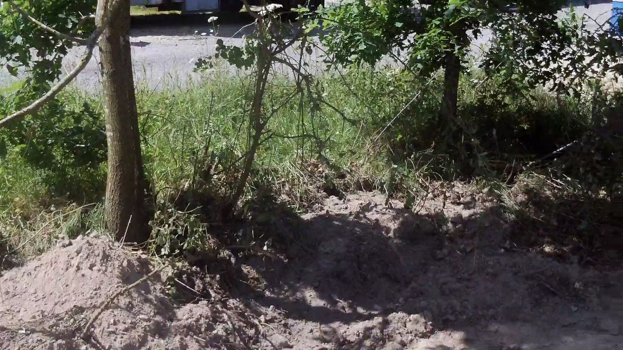 construction du terrain d' entrainement. chien 1° cat