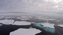 Sailing in the Arctic Ocean onboard  National Geographic Explorer above 80 Latitude
