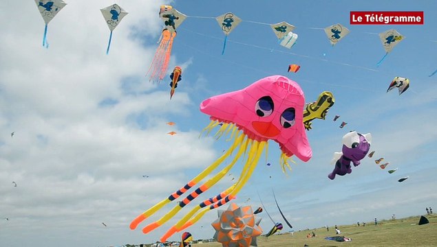 Sarzeau (56). Des dizaines cerfs-volants dans le ciel de Penvins