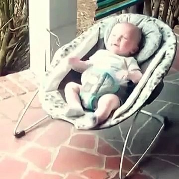 Ce petit toutou veut faire calin avec bébé !