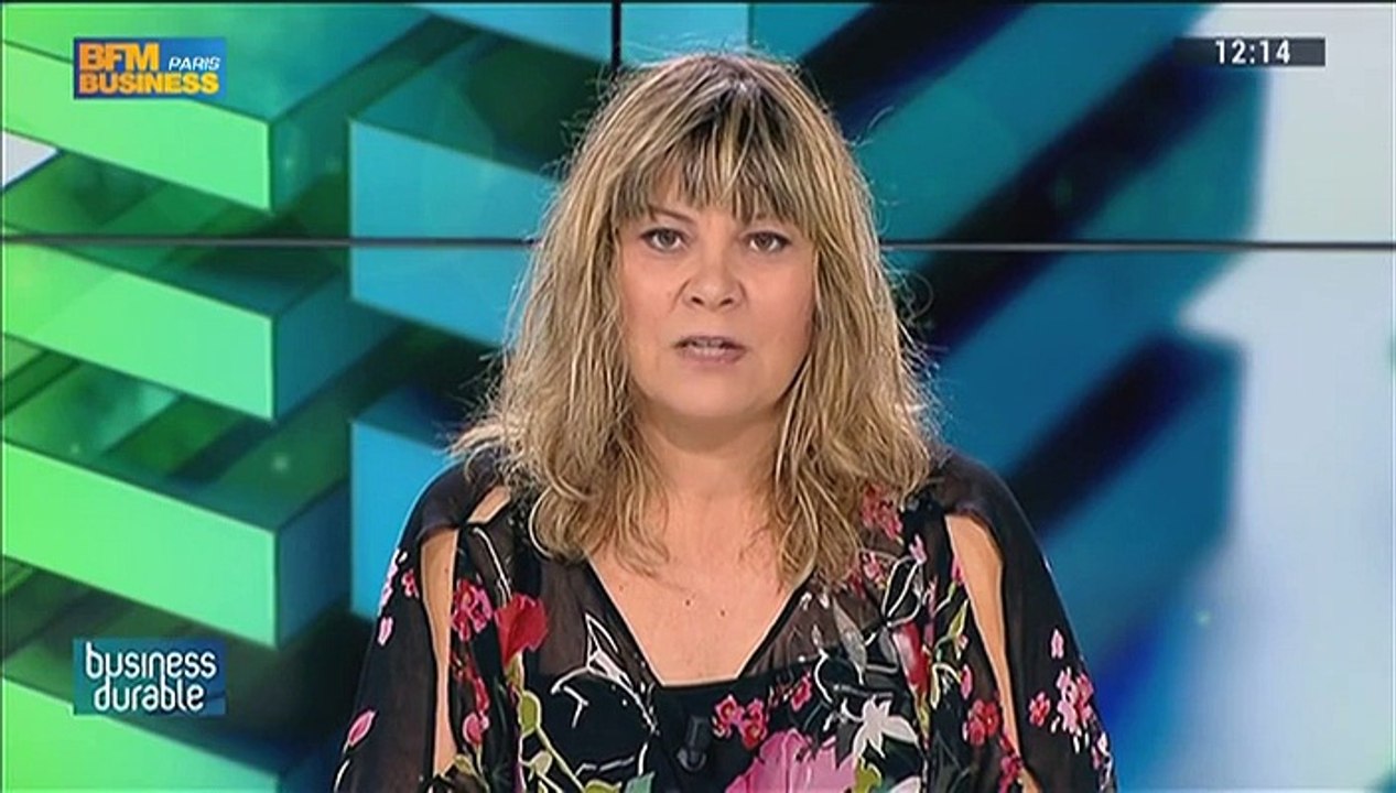 Better Energy - La distribution de l'énergie renouvelable en combinant système solaire et éolien: Nick Blitterswyk - 12/07