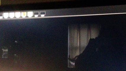 Fairytale: Donald and the Beanstalk