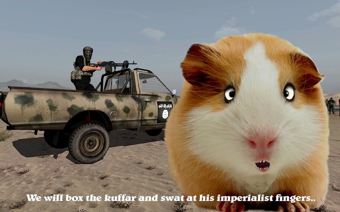 Radical Hamster and the Glorious Message