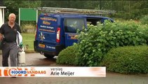 Het gaat slecht met de wesp - RTV Noord