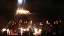 Delta Sigma Theta (Lambda Zeta) - UA Homecoming Step Show 2011