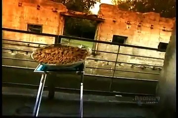 How Its Made (Discovery Channel)