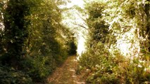 Balade d'été - Summer - ASMR French Binaural (Français, Soft spoken, Whisper, natural sounds)