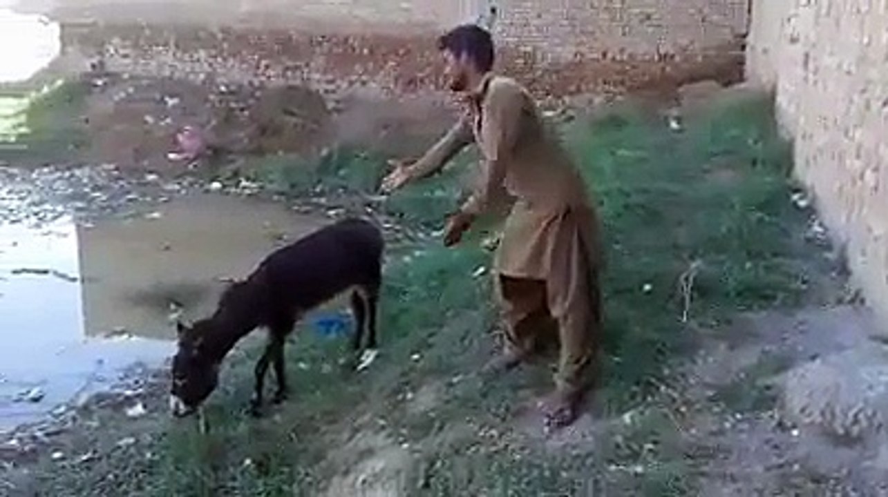 funny vedio funny boy