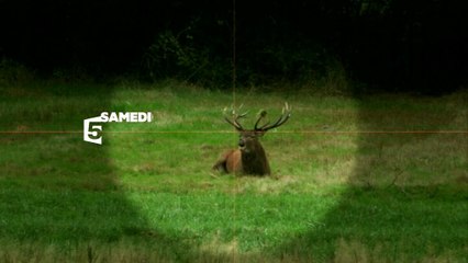 Bande-Annonce - Echappées Belles en Sologne