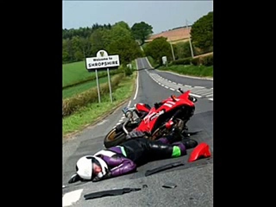 verba-młode wilki 2