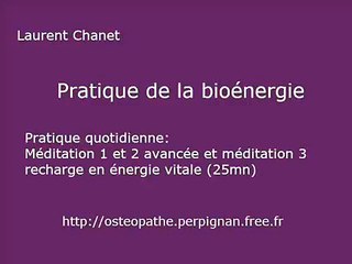 pratique quotidienne de la bioénergie par laurent chanet