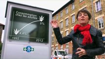 Cannabis : Drogue ou médicament ?