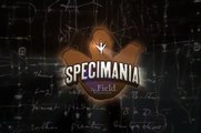 Specimania - The Field Museum's first iOS game - A trailer from Eight Bit Studios