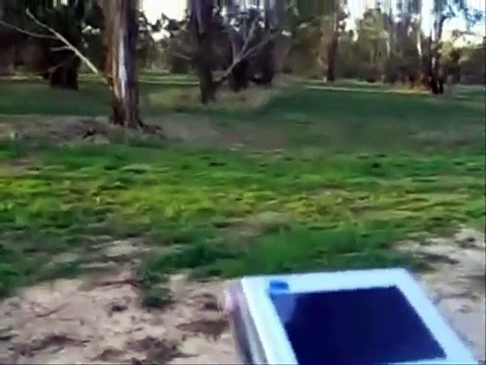 Long Range Viblan © Gold Detector by maxFynd