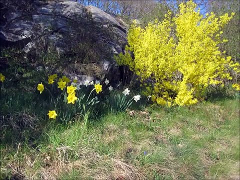 Steinar Isaksen och willy jäger på Skansen Djurgården 2011-04-23