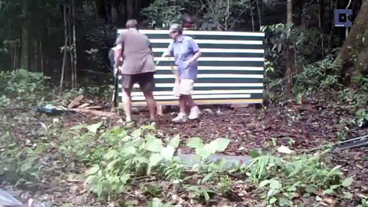 鏡に映った自分を見た野生動物たちは、、？その１
