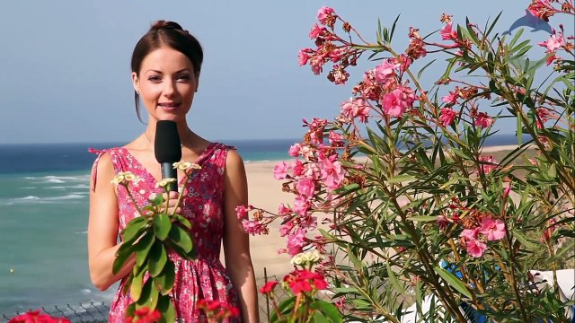 Aldiana Fuerteventura - Cluburlaub Spanien Kanaren Fuerteventura