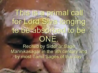 Thiruvasagam The Ecstasy of Spirit: Siddhar Maha Siva Swamy