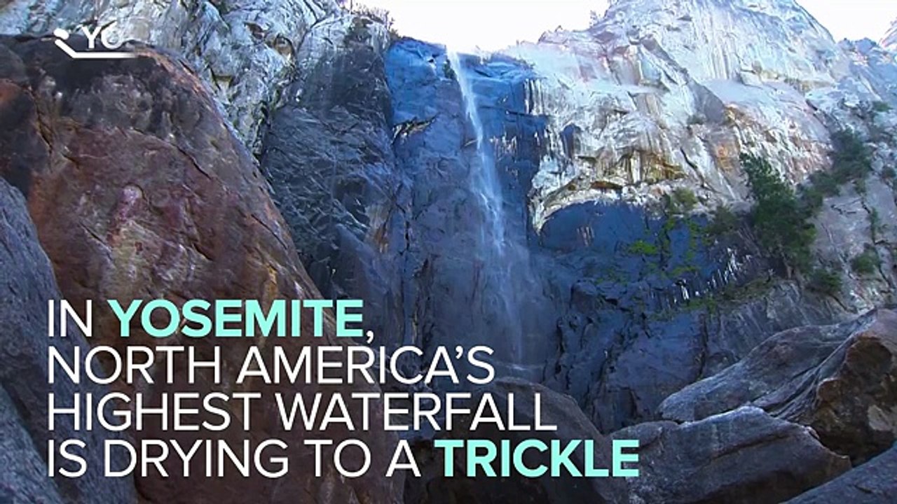 California's Drought Is Devastating Our National Parks