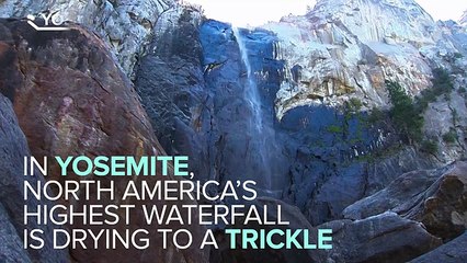 California's Drought Is Devastating Our National Parks