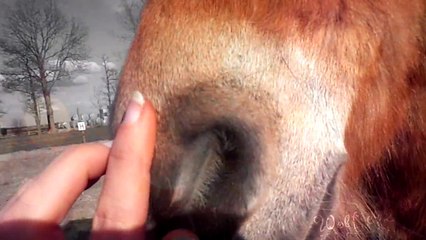 You are the lucky one