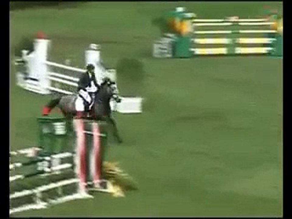 Cheval equitation le pire cavalier du monde