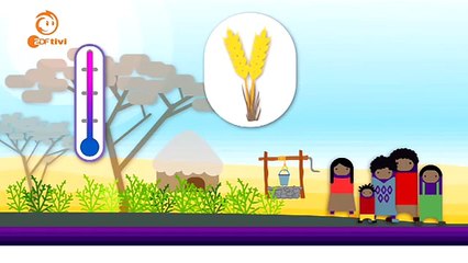 logo! erklärt: Folgen der Erderwärmung