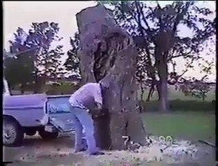 What Happened to this Wood Cutter