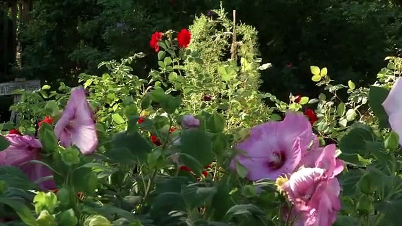 Prairie Yard & Garden: Small Space Flower Garden