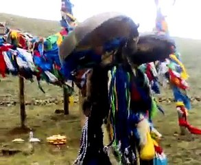 mongolian shaman Ølzii hutag 28062009001