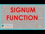 591.Class XI - CBSE, ICSE, NCERT -  Signum function